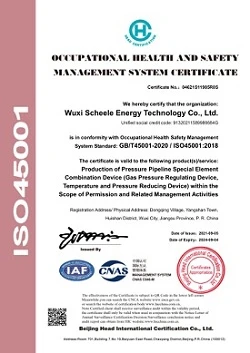 Occupational Health And Safety Management System Certificate